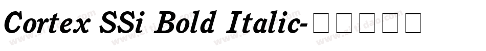 Cortex SSi Bold Italic字体转换